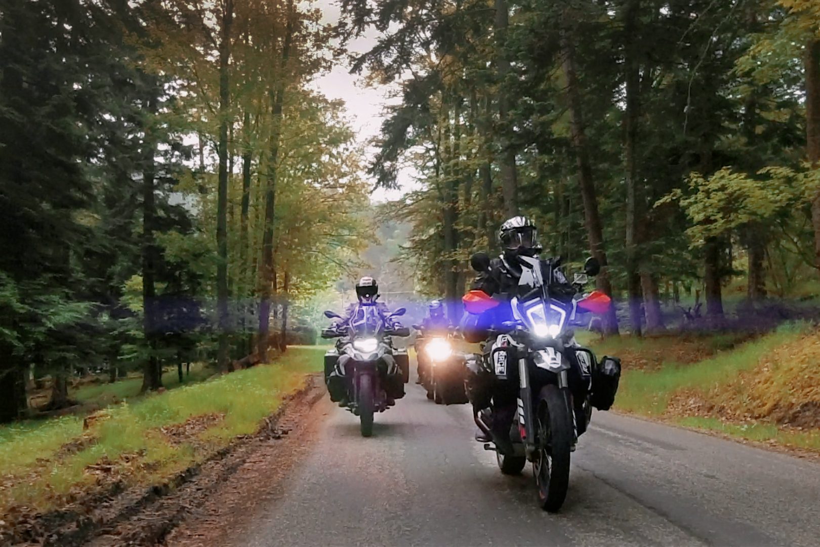 Im Wald der Vogesen Drei Motorräder fahren auf einer Straße durch einen Wälder der Vogesen mit herbstlichen Bäumen.
